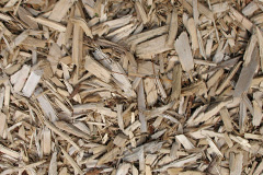 biomass boilers Pandy